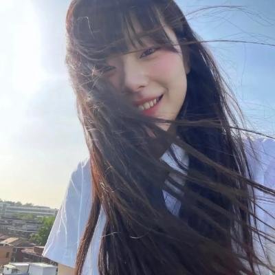 琼楼飞燕